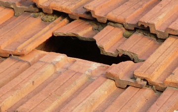 roof repair Wood Hayes, West Midlands